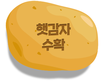 감자 알아가기2